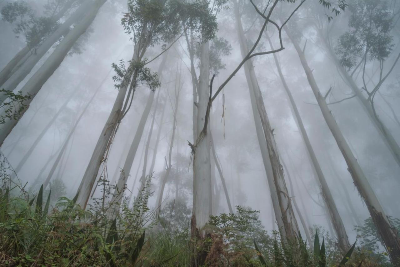 Saffronstays Kurinji Estate Kodaikanal Bagian luar foto
